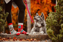 Kolorowe Skarpetki unisex - Jak Pies z Kotem